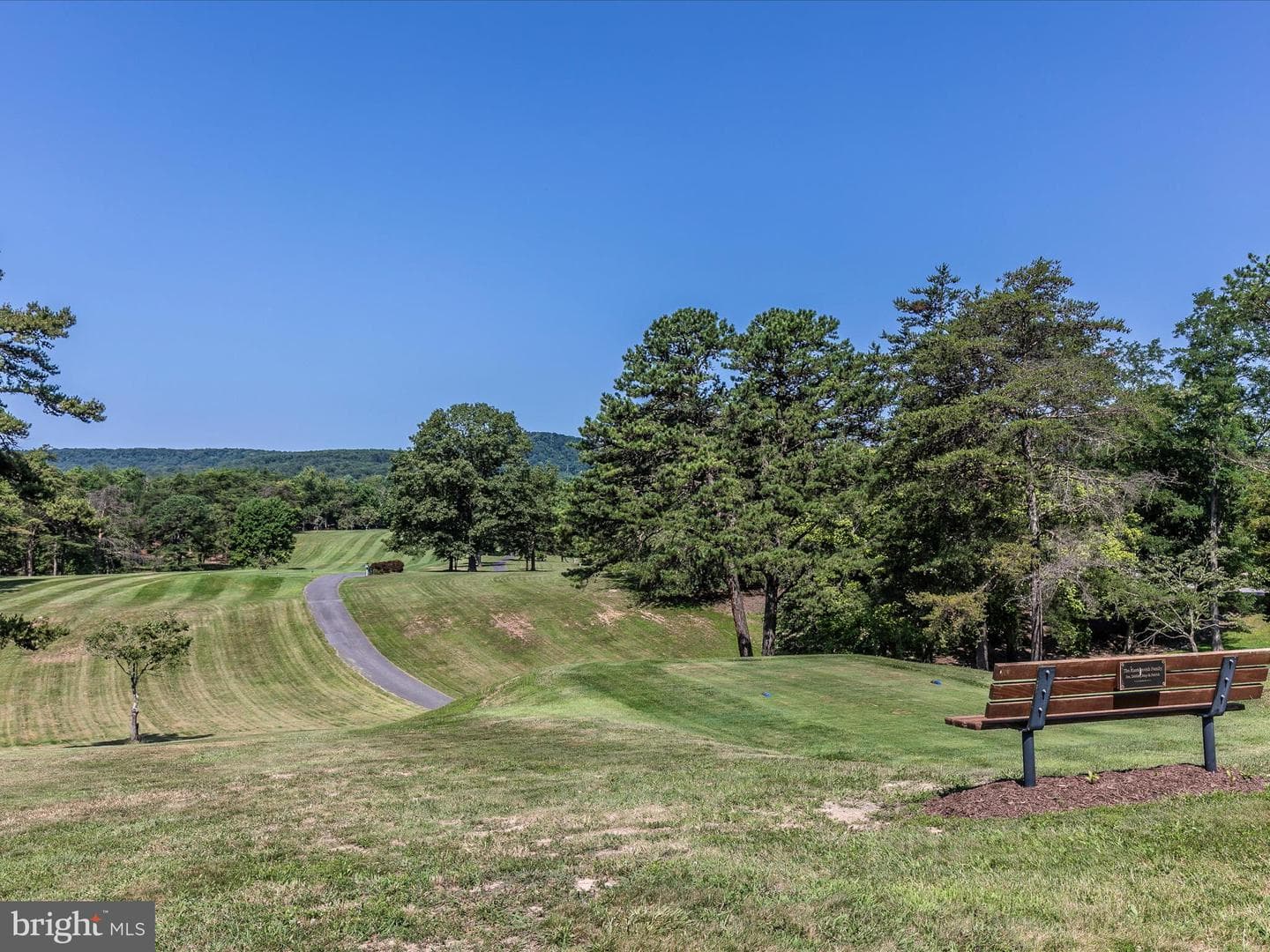 234 Pileated Woodpecker Lane photo 37