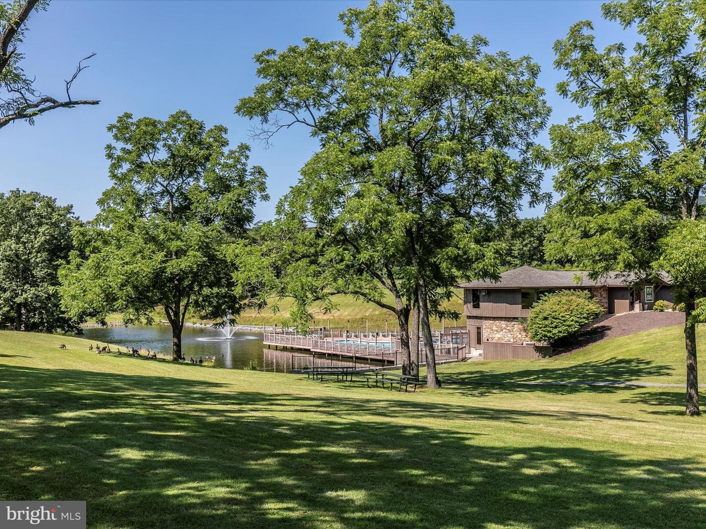 234 Pileated Woodpecker Lane photo 42