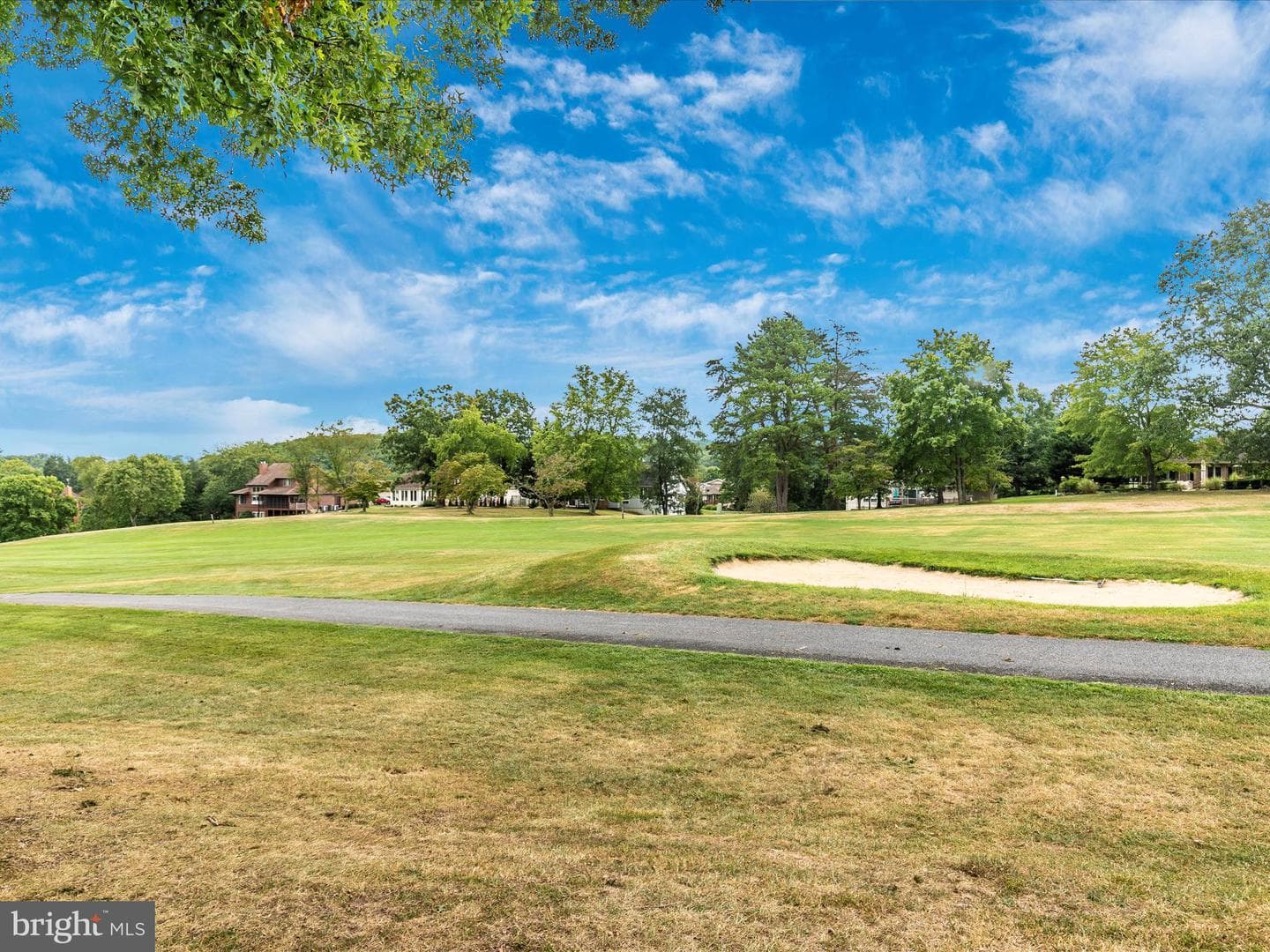 234 Pileated Woodpecker Lane photo 43