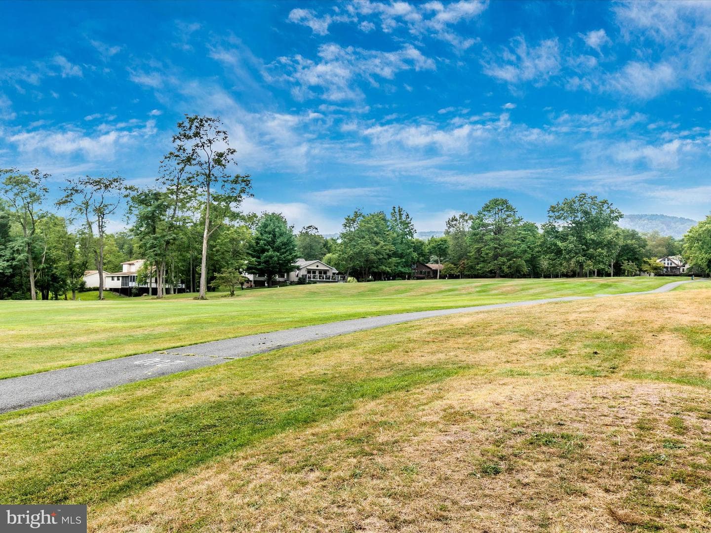 234 Pileated Woodpecker Lane photo 44