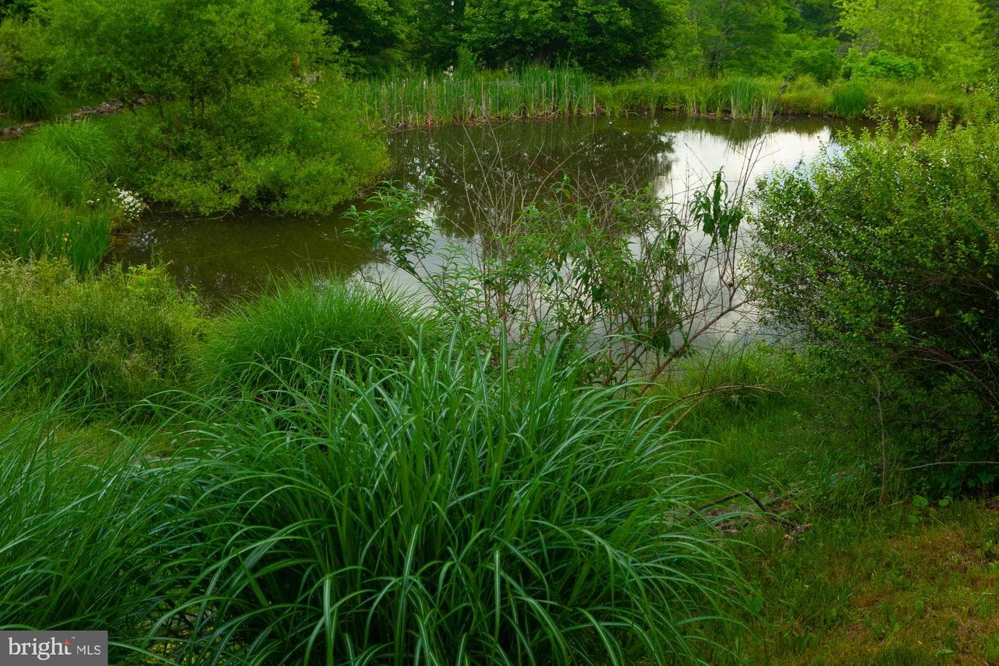 2548 Mountain Lake Road photo 8