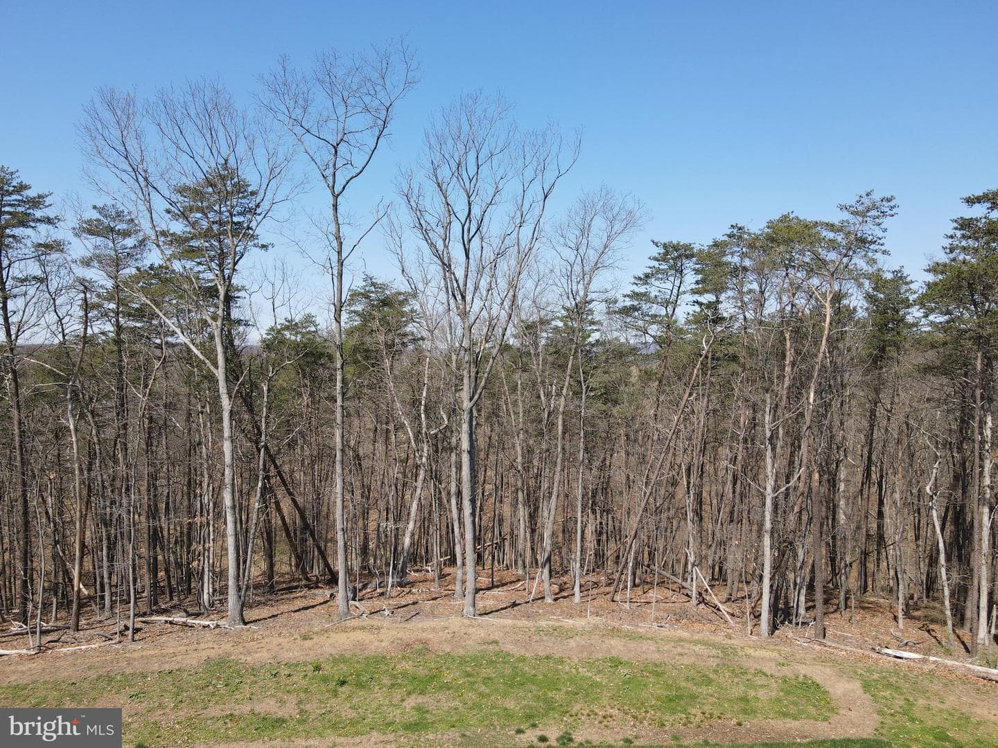 111 Tilapia Road photo 8