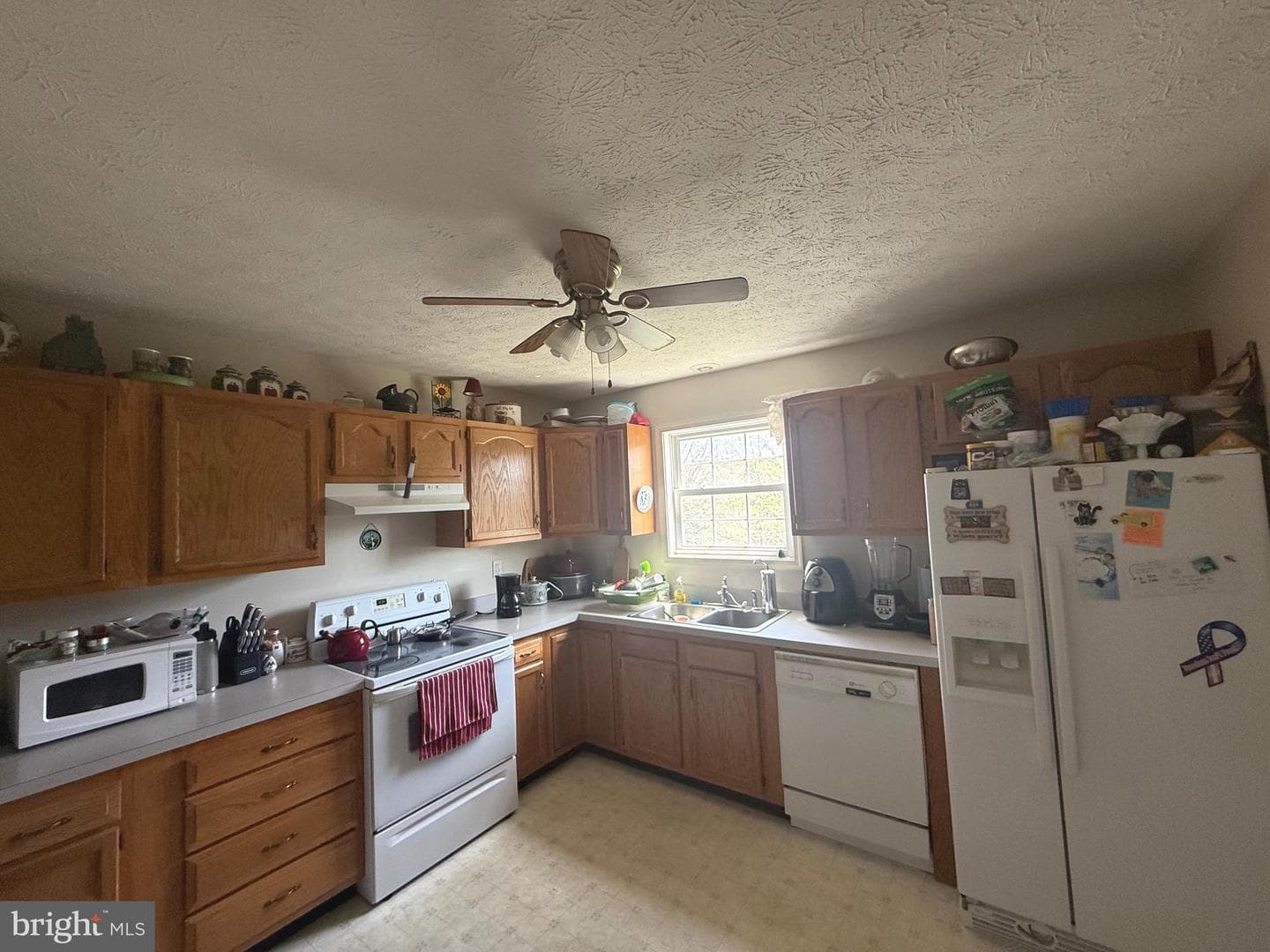 195 Burdette Drive photo 6