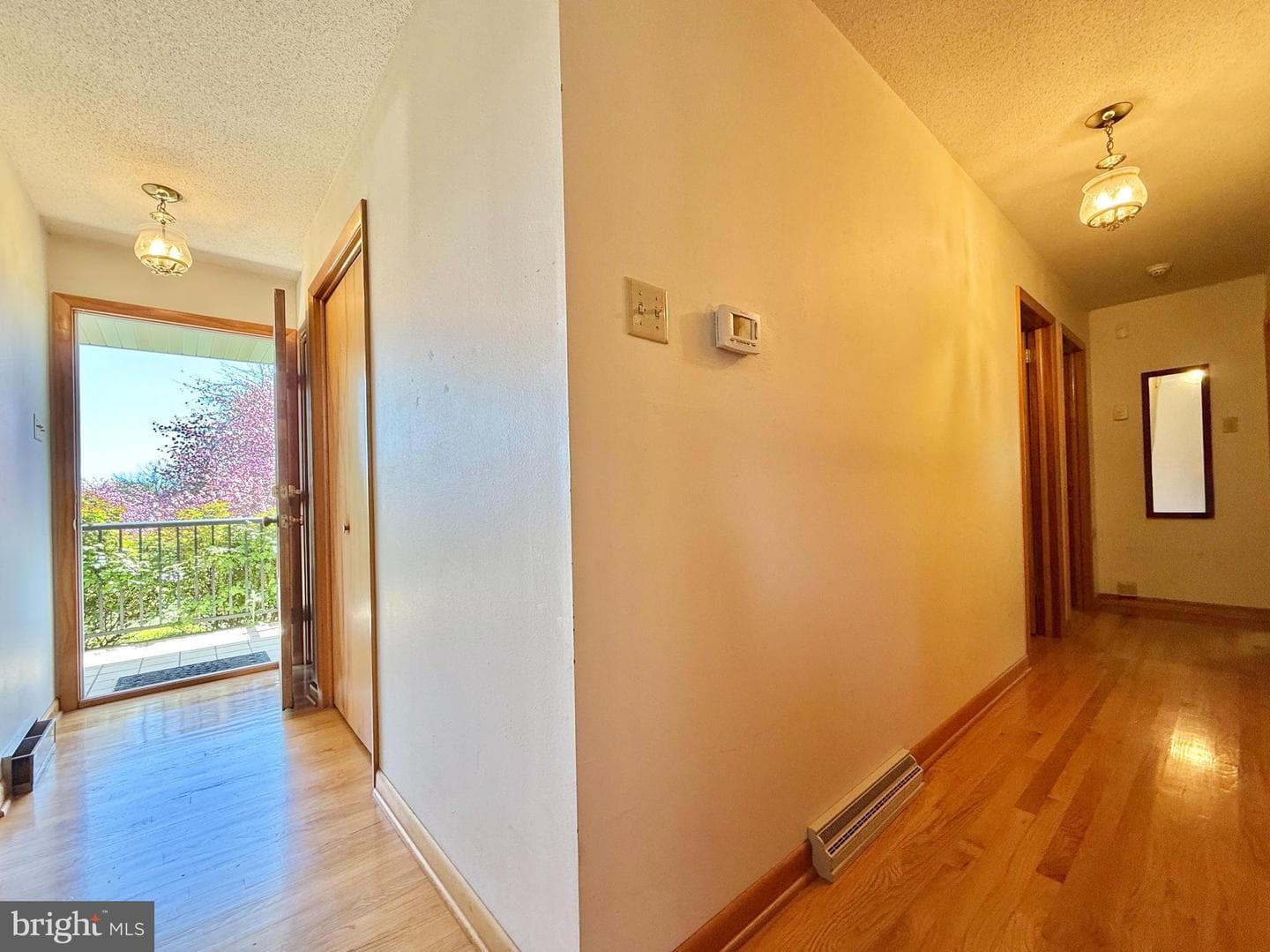 153 Collins Drive photo 19
