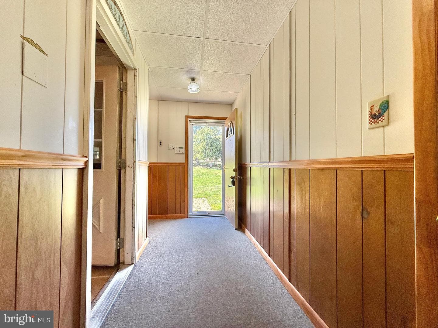 153 Collins Drive photo 59