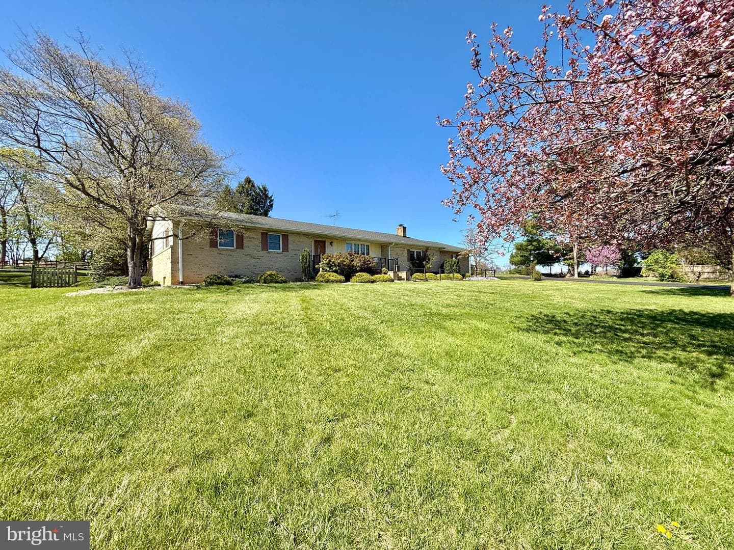 153 Collins Drive photo 62