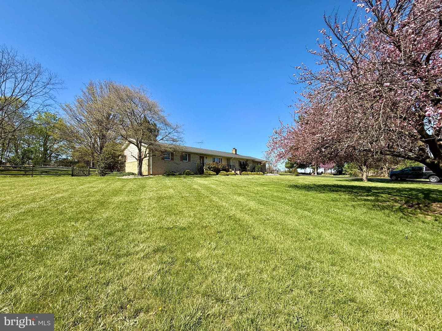 153 Collins Drive photo 85