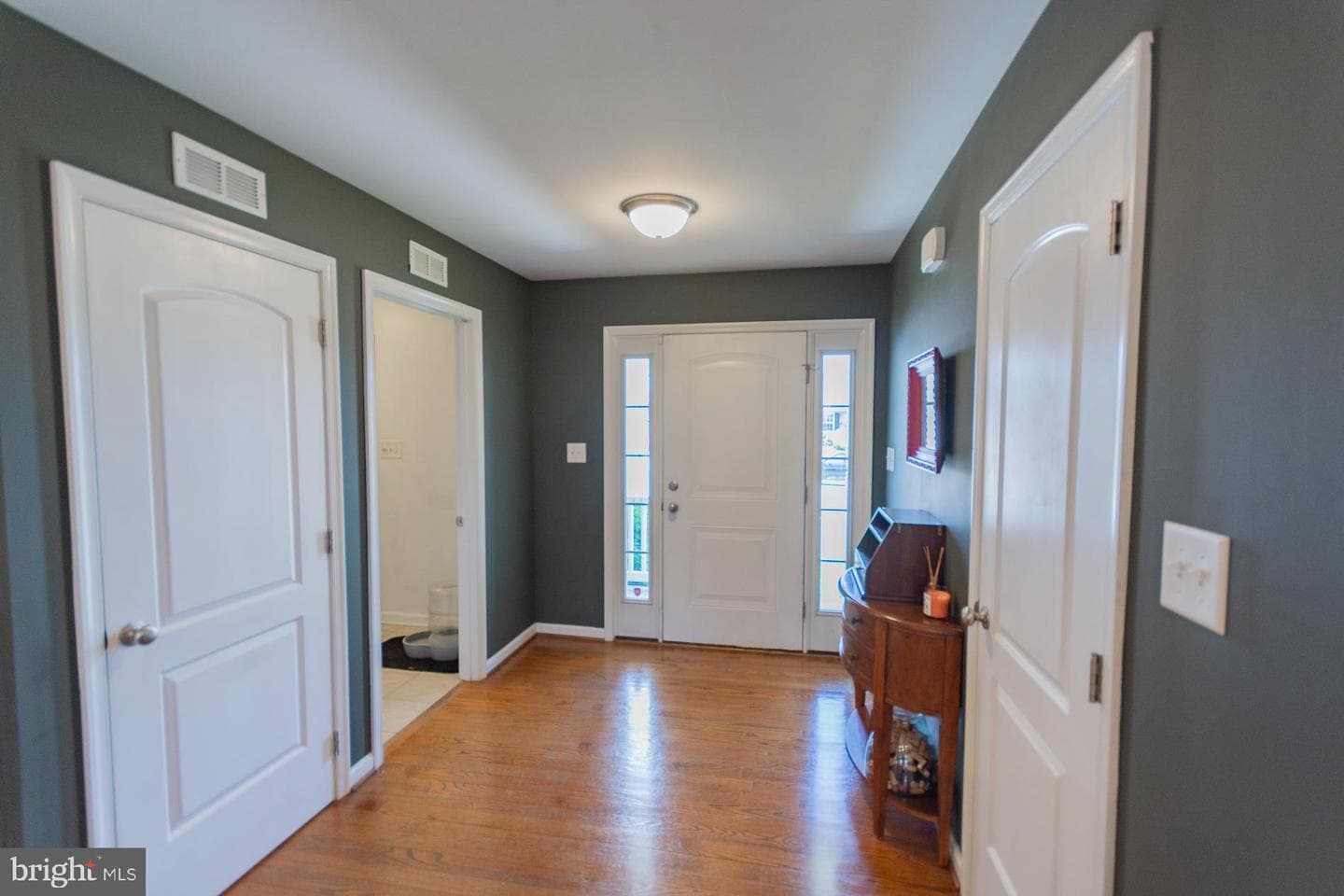 132 Obadiah Drive photo 66
