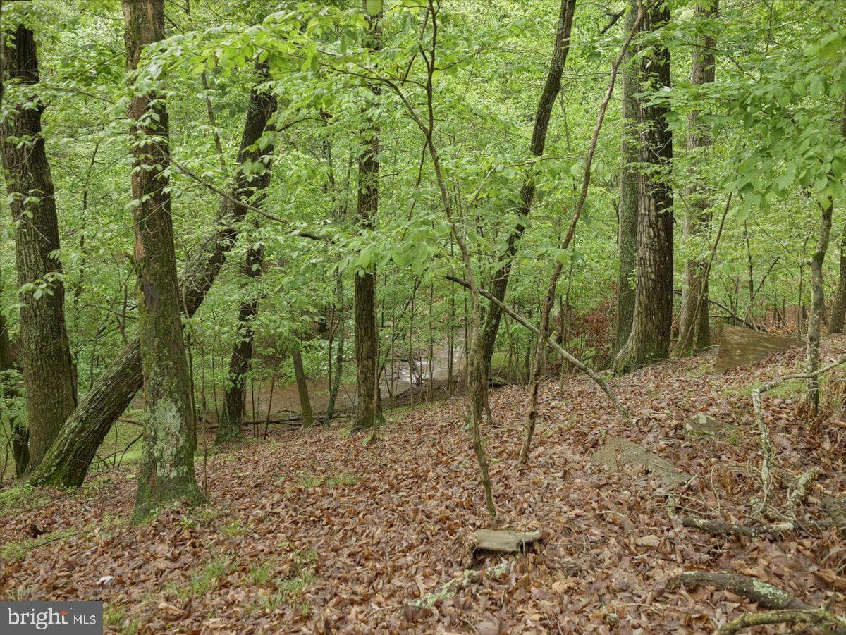 106 Monacan Trail photo 23