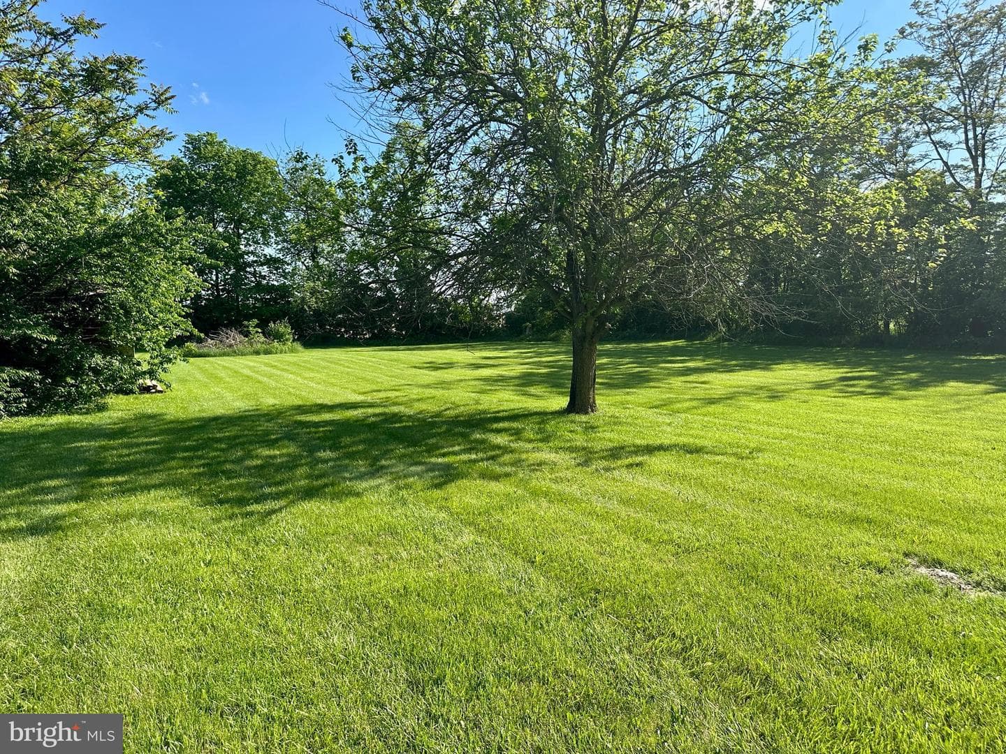 153 Connector Road photo 43