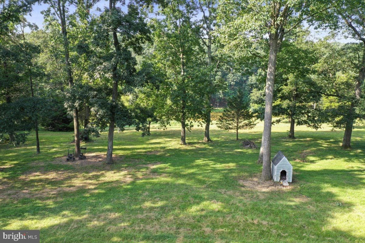 246 Poets Lane photo 8