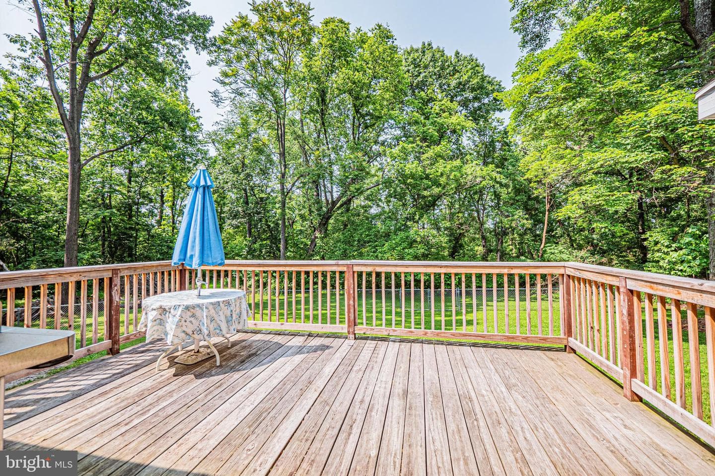165 Chesley Drive photo 16