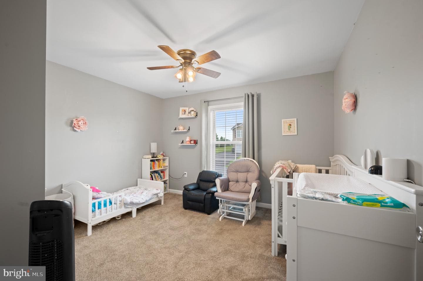494 Ives Street photo 20
