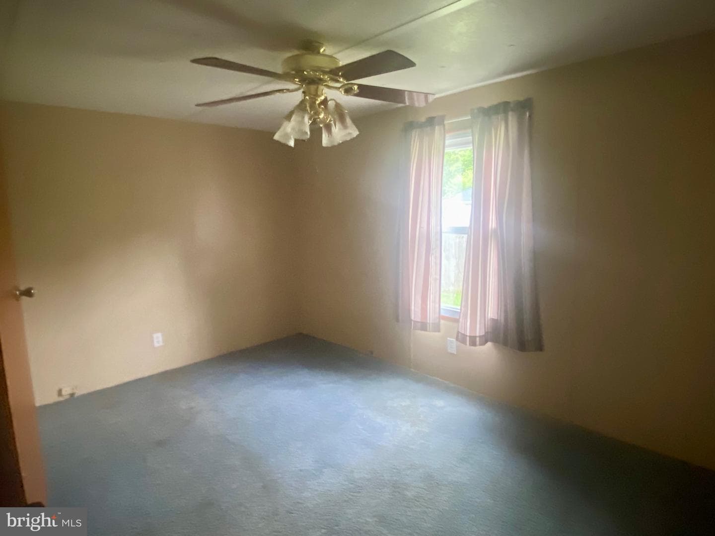 314 Henshaw Road photo 5