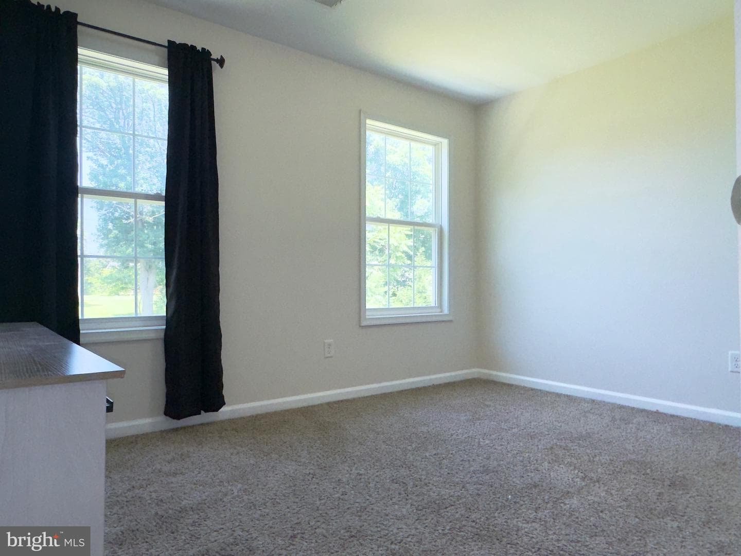 321 Coralberry Drive photo 12