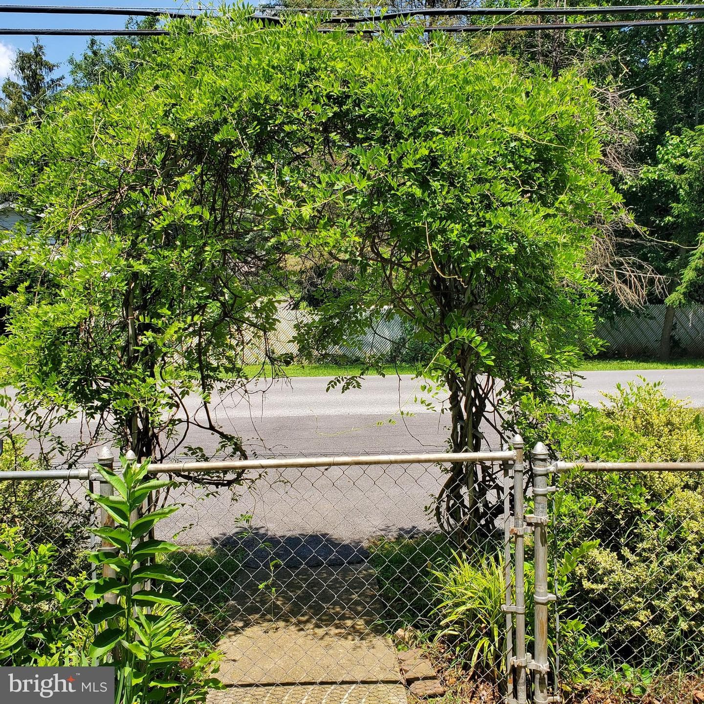 400 S Georgia Avenue photo 4