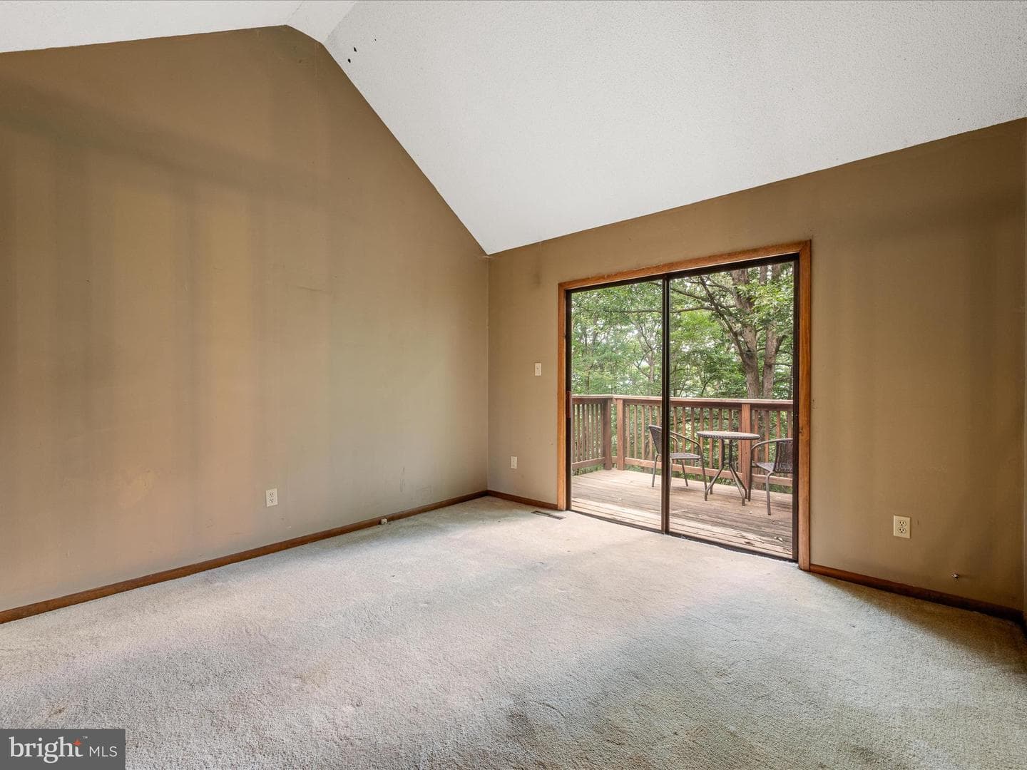 228 Atwood Drive photo 21