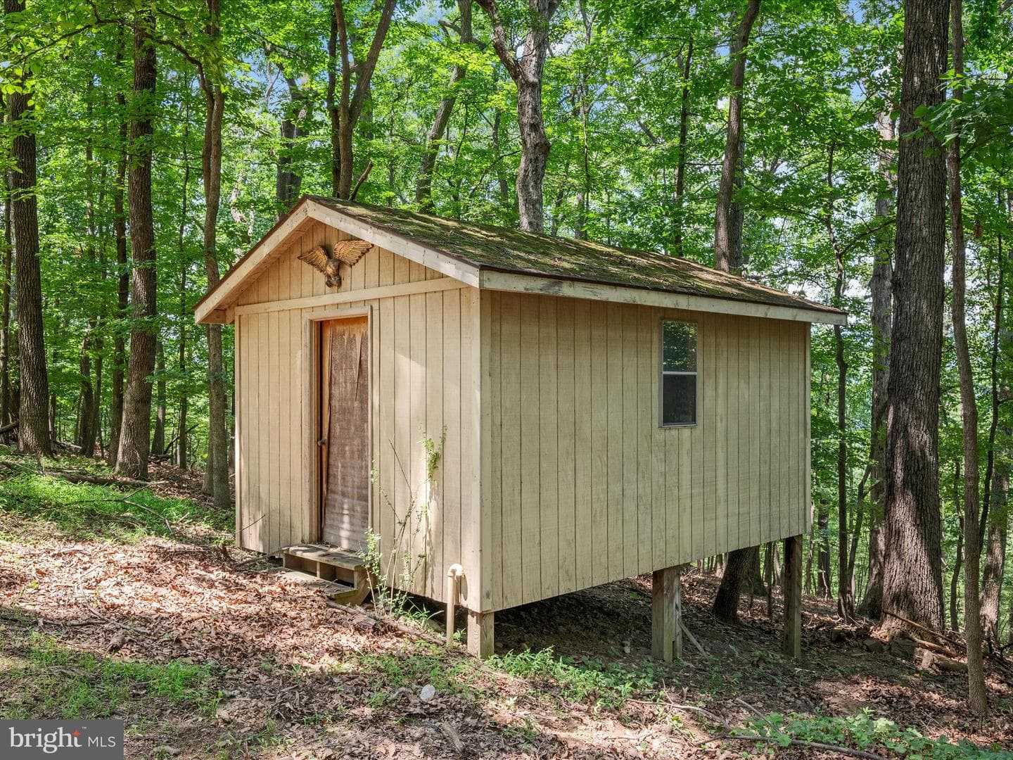 228 Atwood Drive photo 40