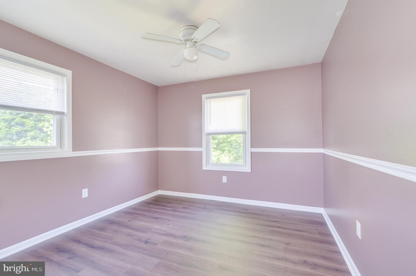 63 Dexter Drive photo 16