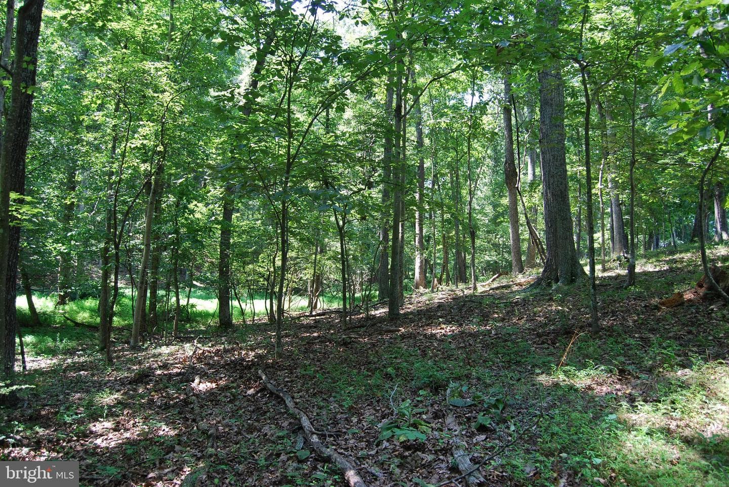 220 Stotelmyer Lane photo 30
