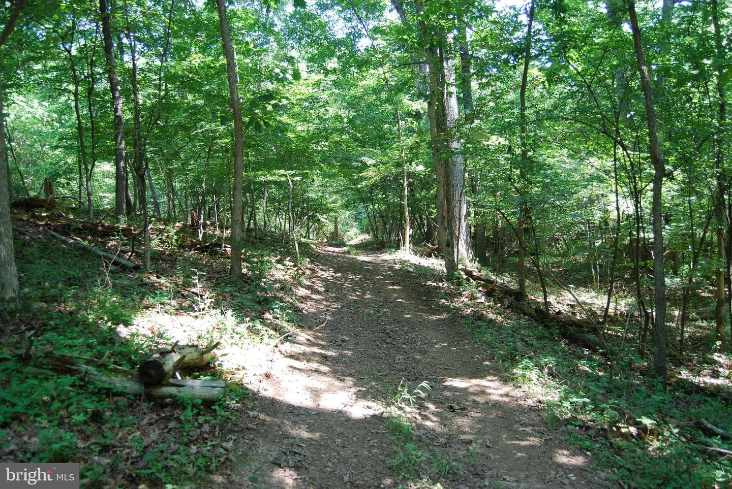 220 Stotelmyer Lane photo 35