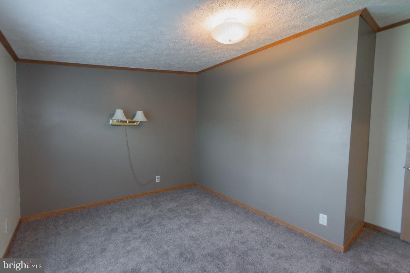 43 Tather Drive photo 64