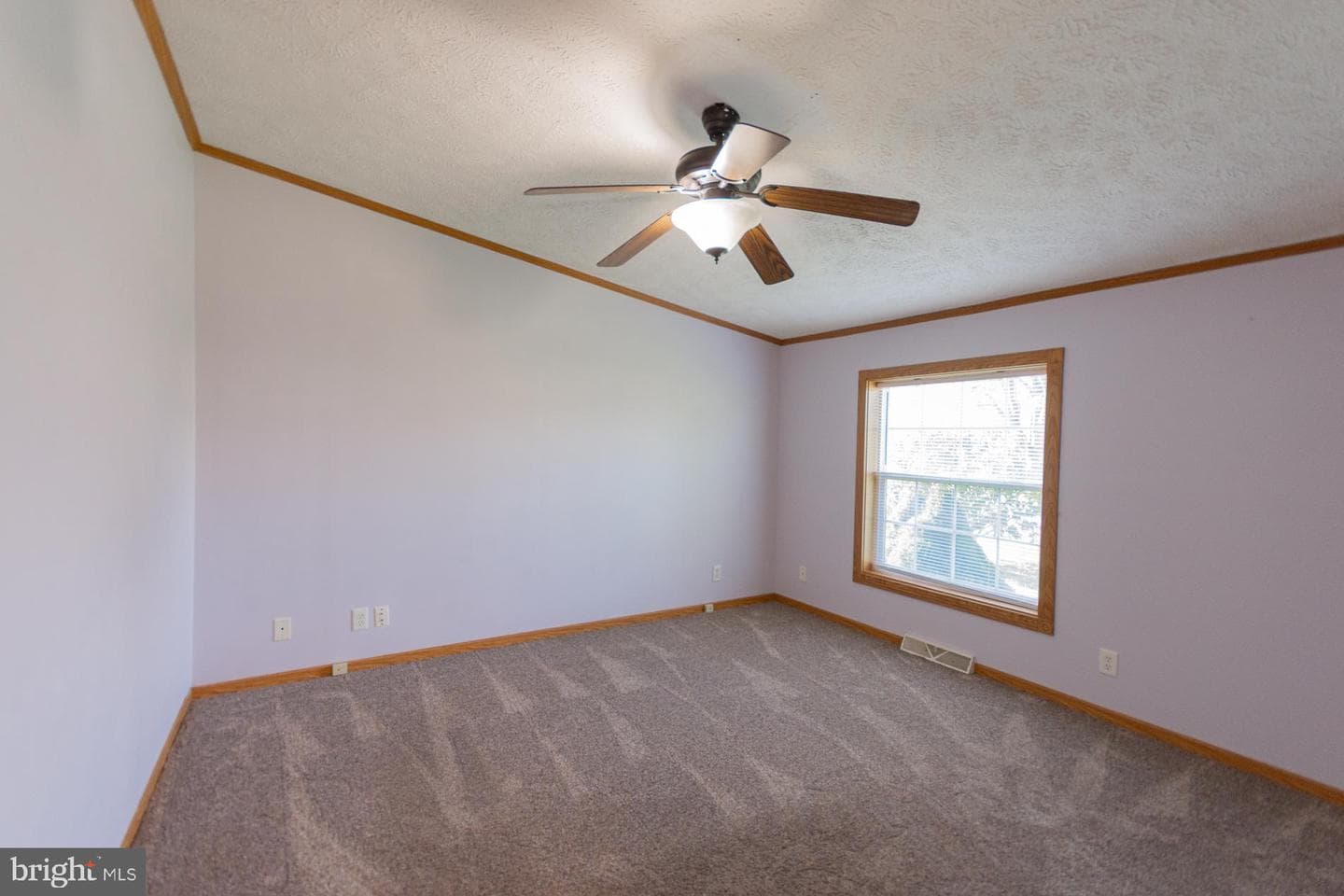 43 Tather Drive photo 70