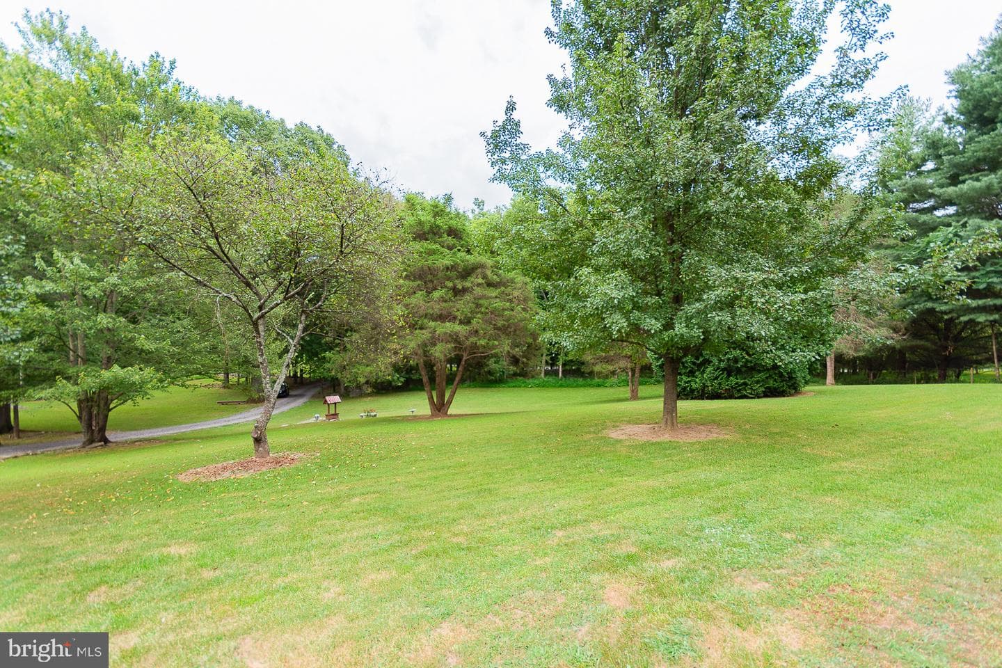 1337 Cedar Lane photo 60