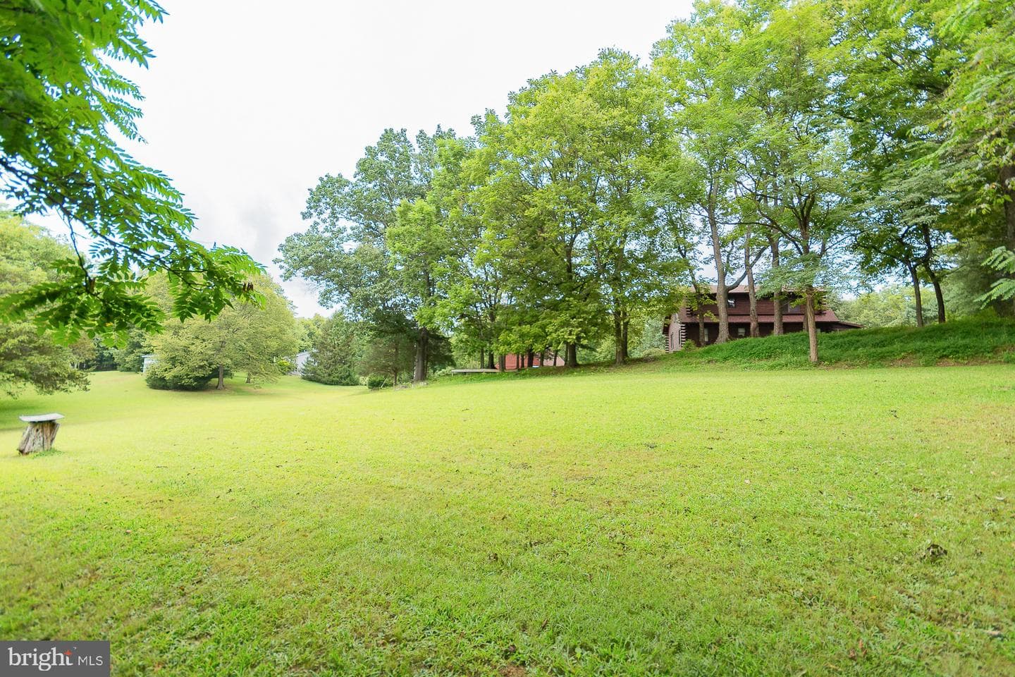 1337 Cedar Lane photo 61