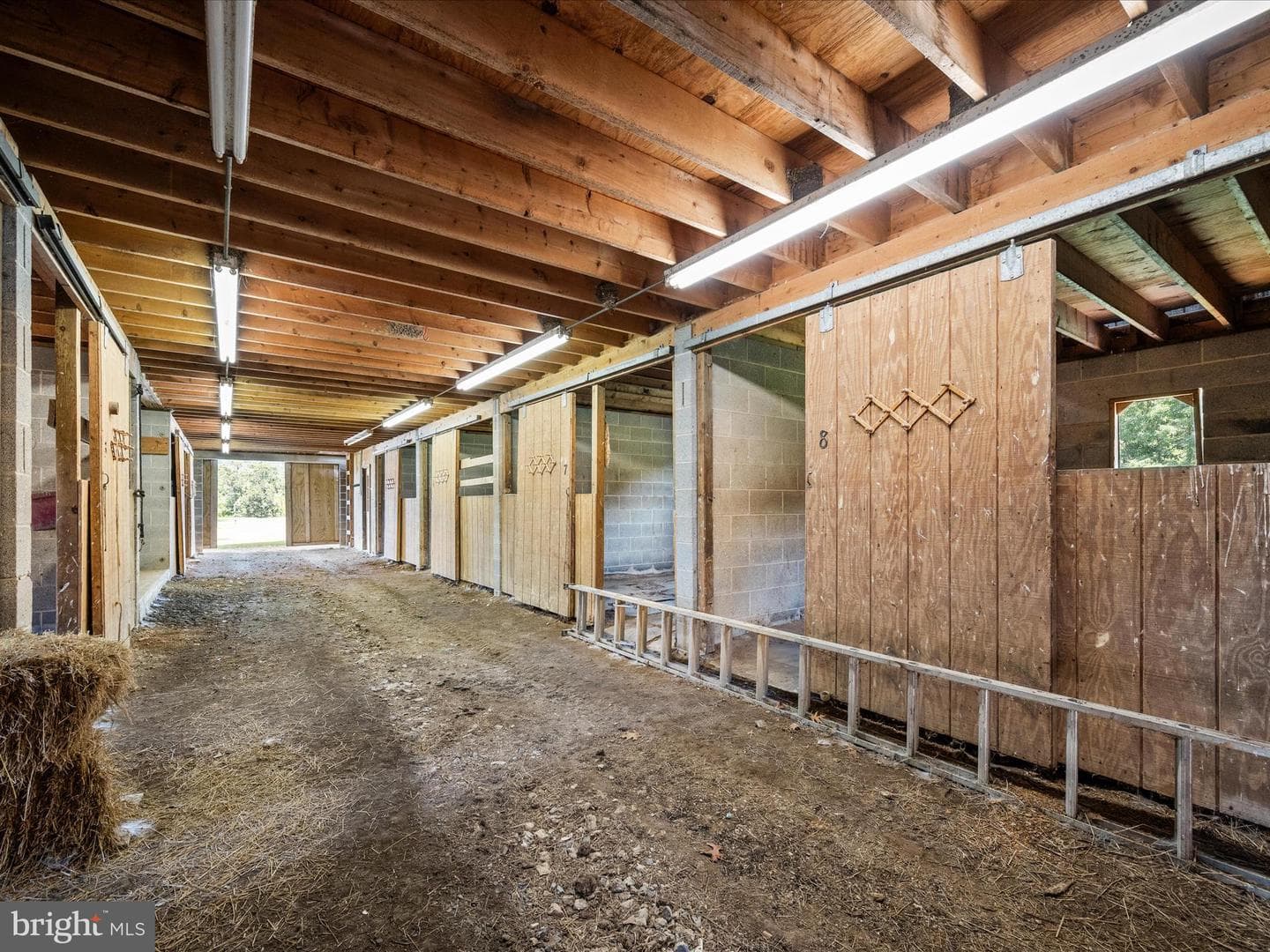 3025 Dominion Road photo 69
