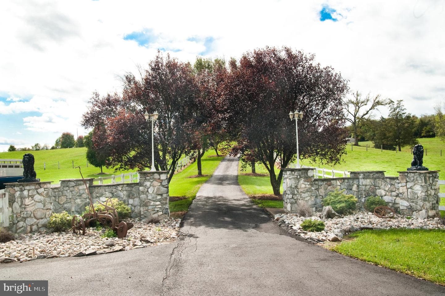 590 Carlyle Road photo 3