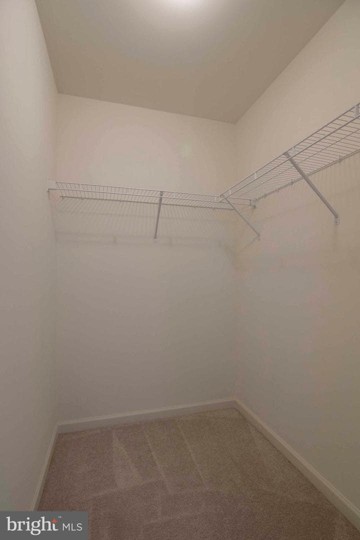 15 Pitch Pine Ct photo 28