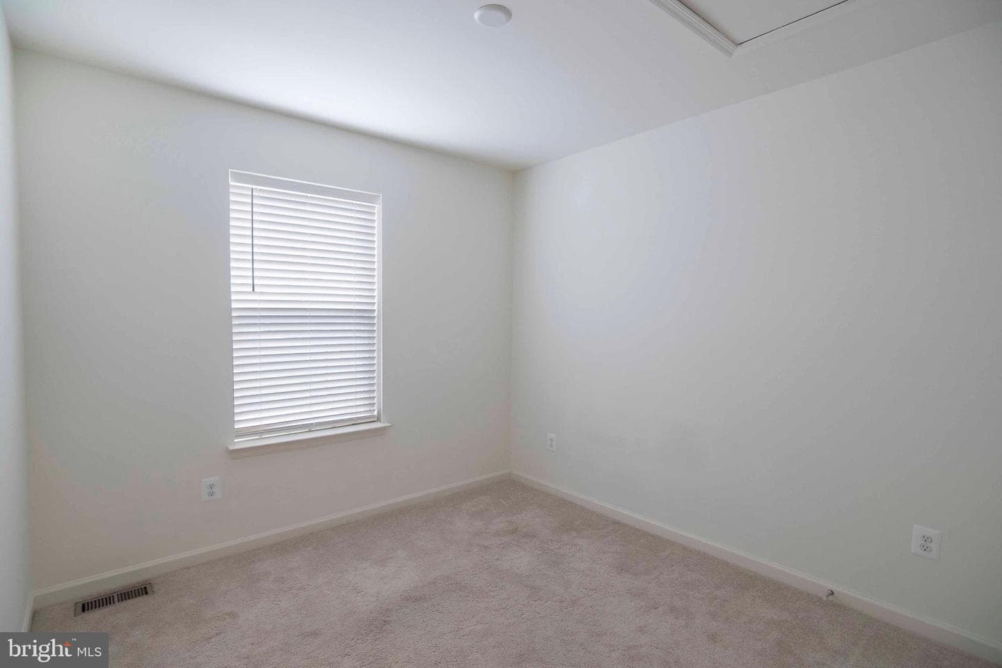 15 Pitch Pine Ct photo 32