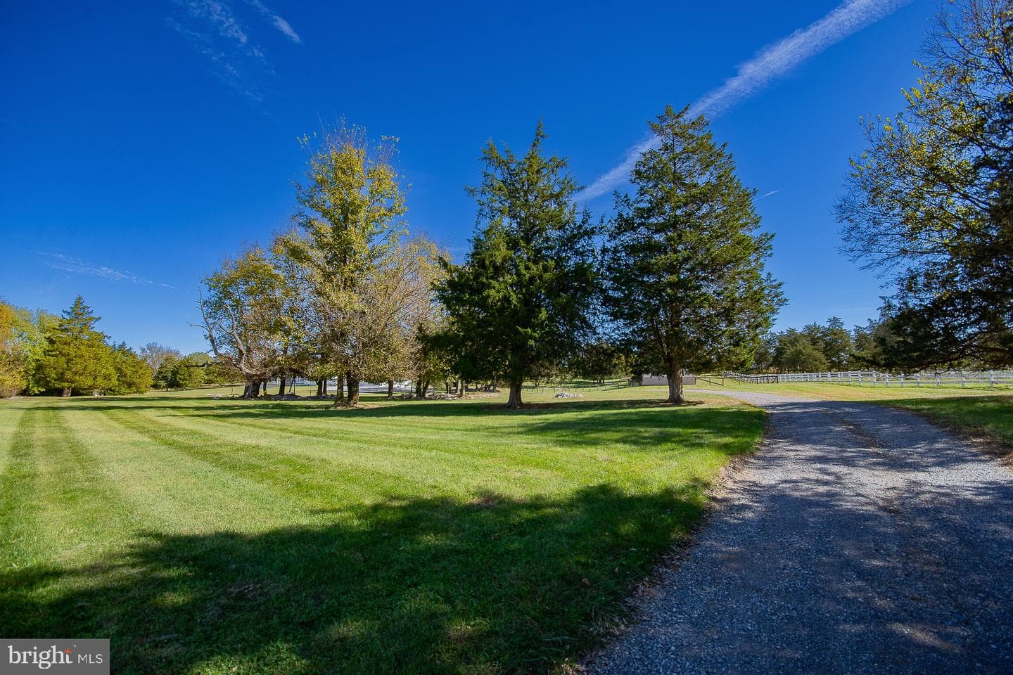 78 Colonel Myers Drive photo 11