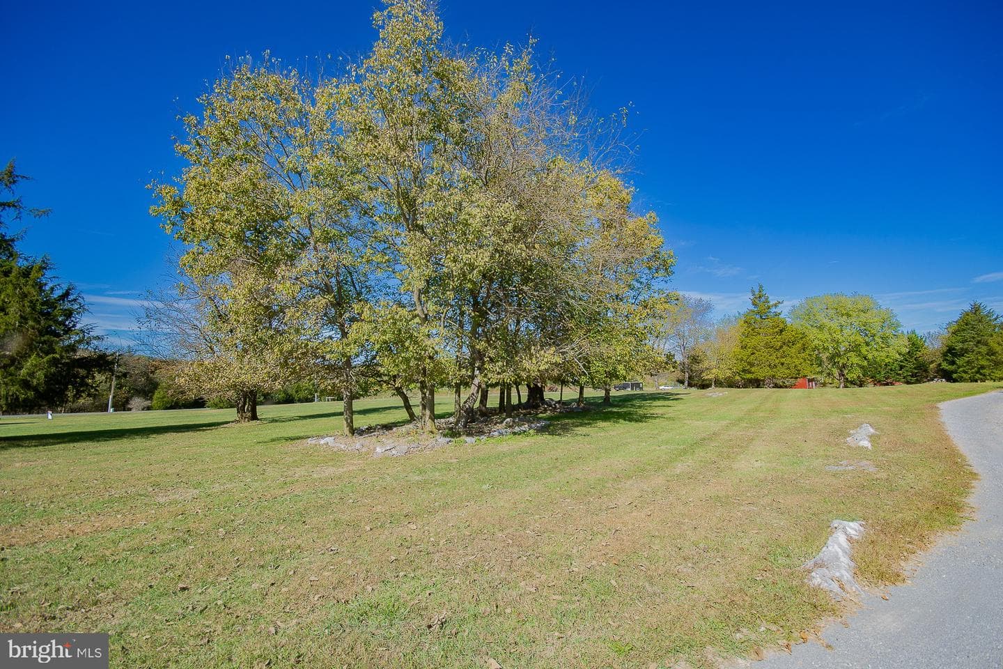 78 Colonel Myers Drive photo 14