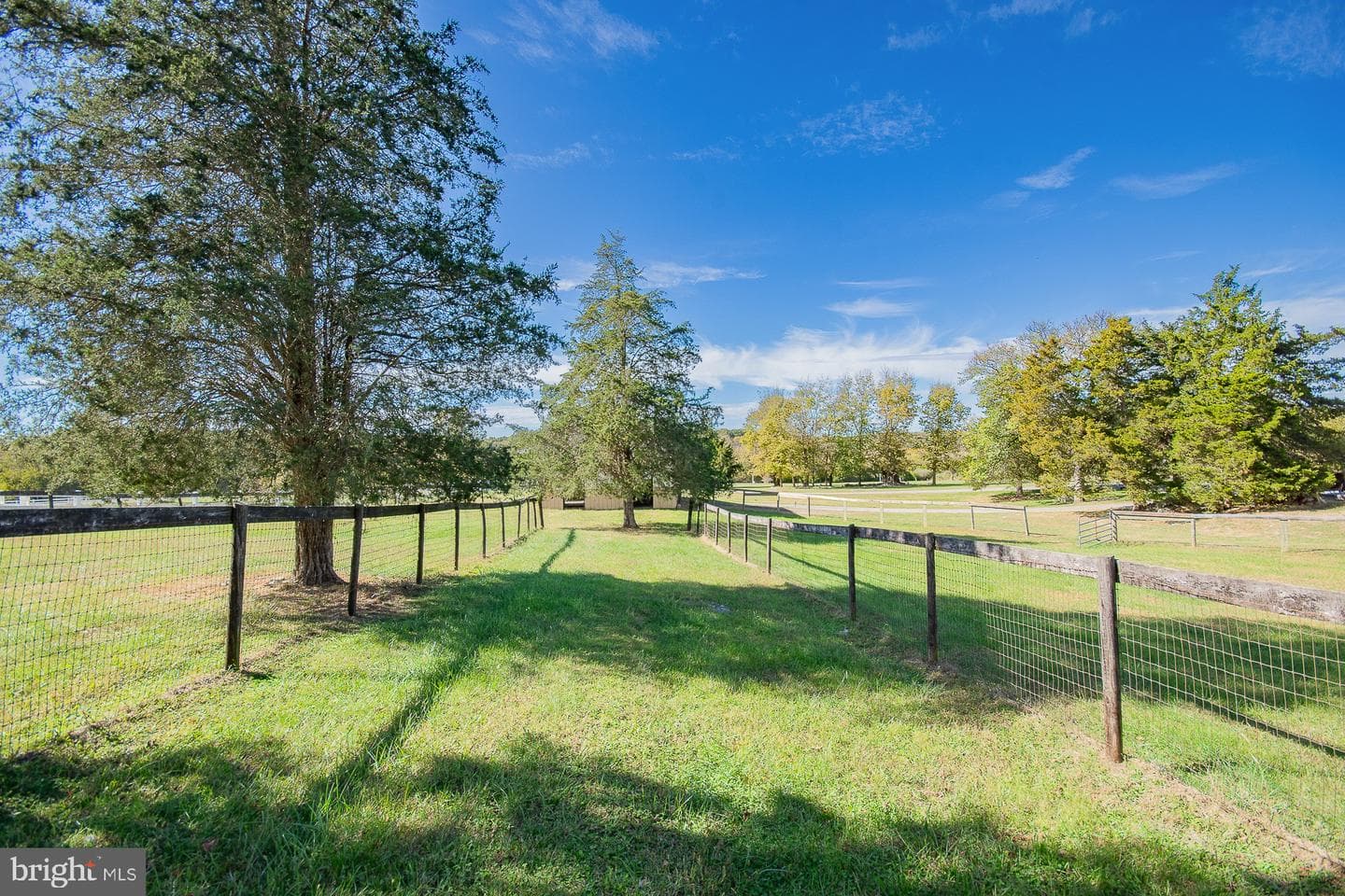 78 Colonel Myers Drive photo 50