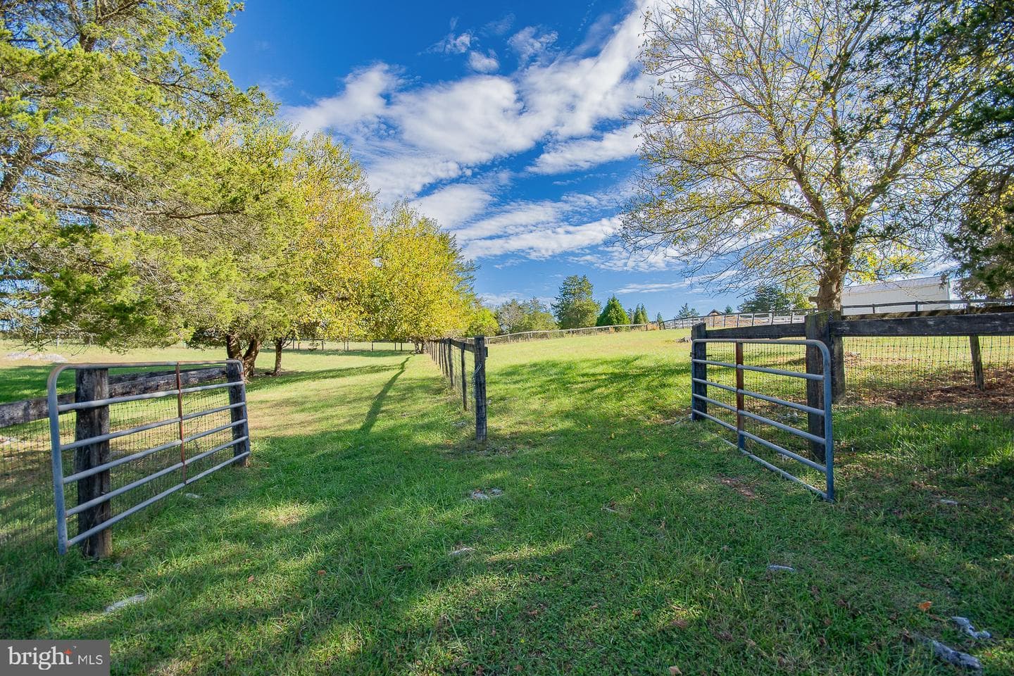78 Colonel Myers Drive photo 51