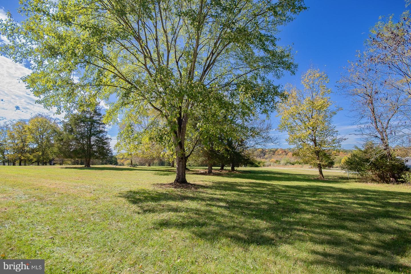 78 Colonel Myers Drive photo 62
