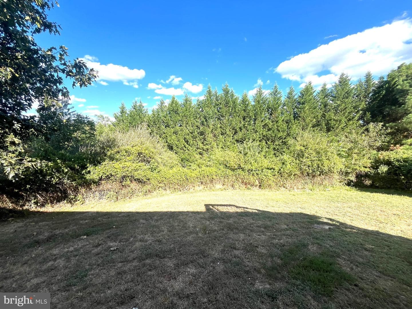 392 Grove Farm Lane photo 15