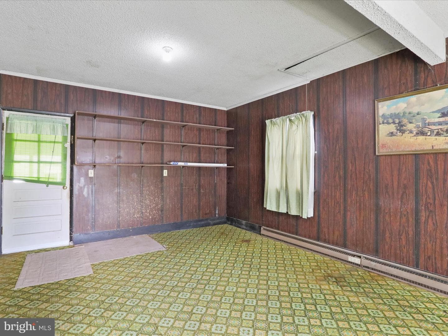 523 Richard Street photo 15
