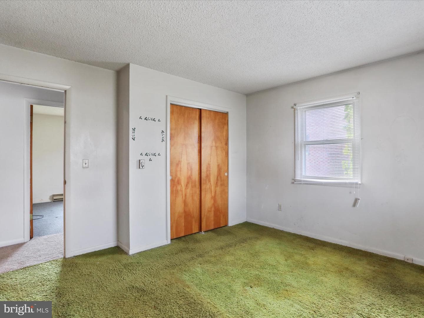 523 Richard Street photo 18