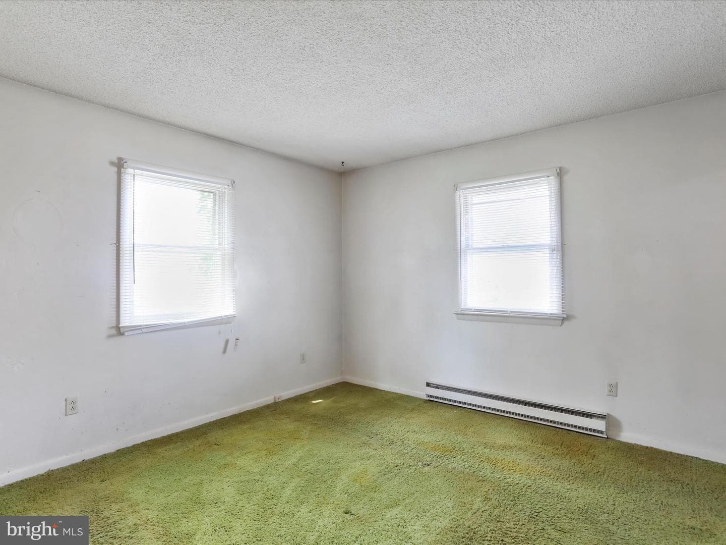 523 Richard Street photo 19