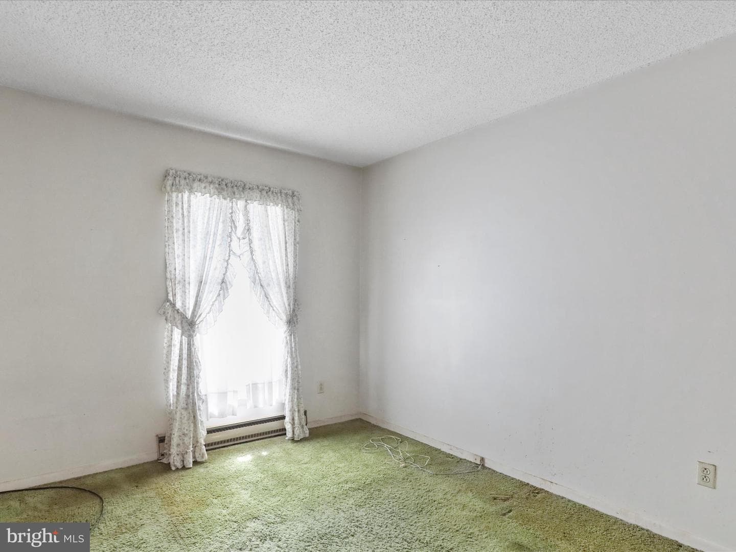 523 Richard Street photo 21