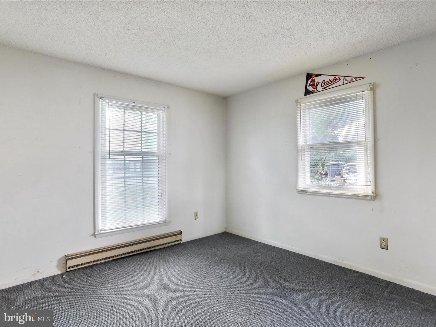 523 Richard Street photo 23