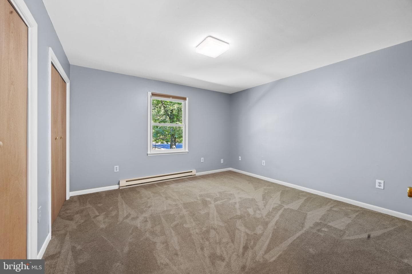 145 Basswood Drive photo 22