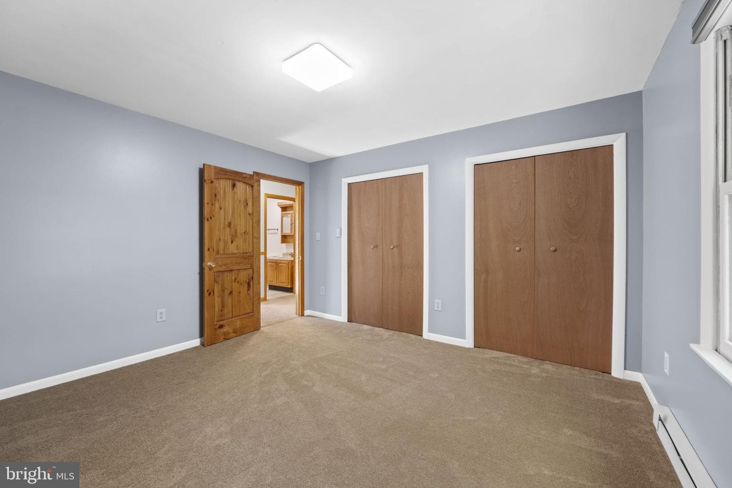 145 Basswood Drive photo 23