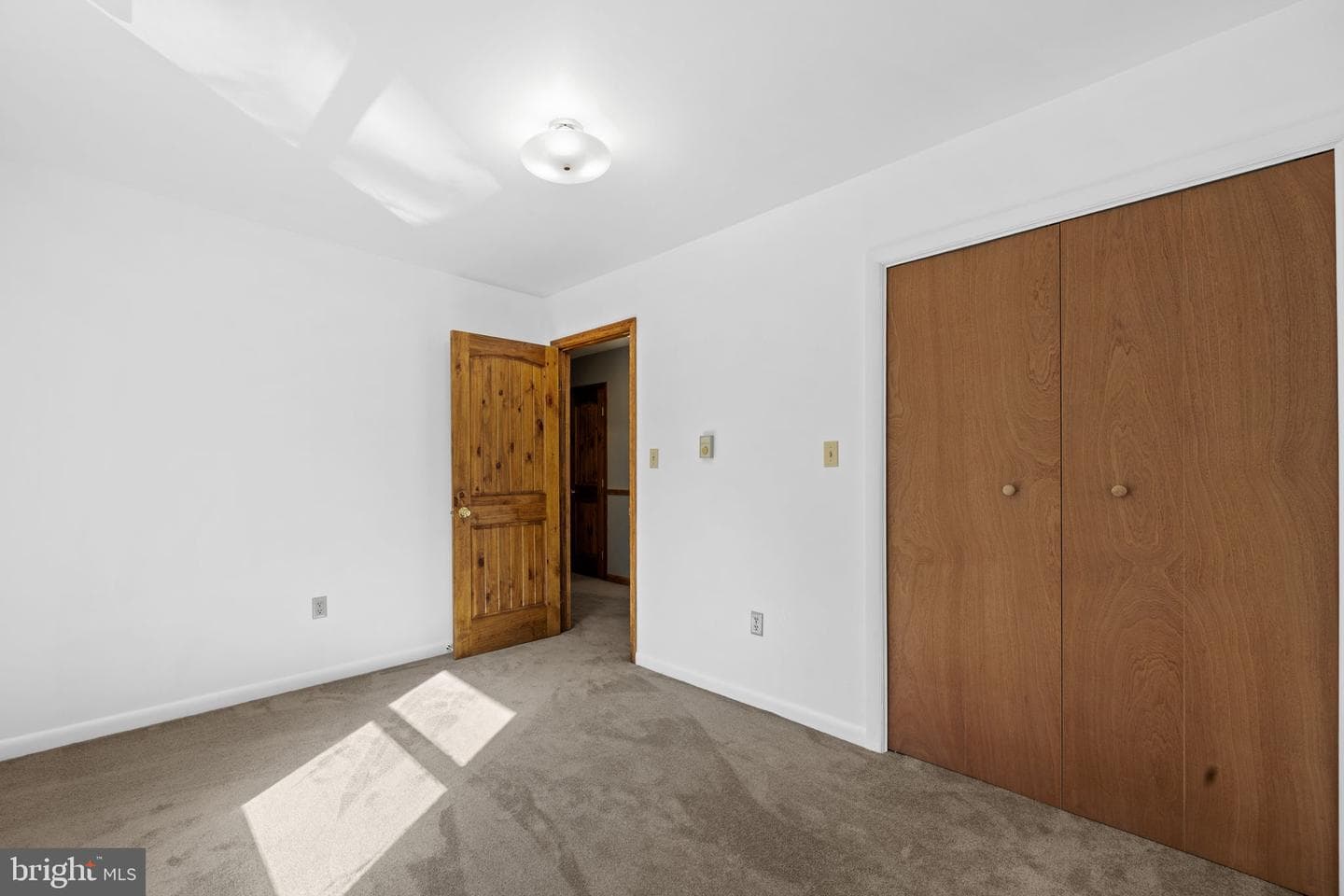 145 Basswood Drive photo 24