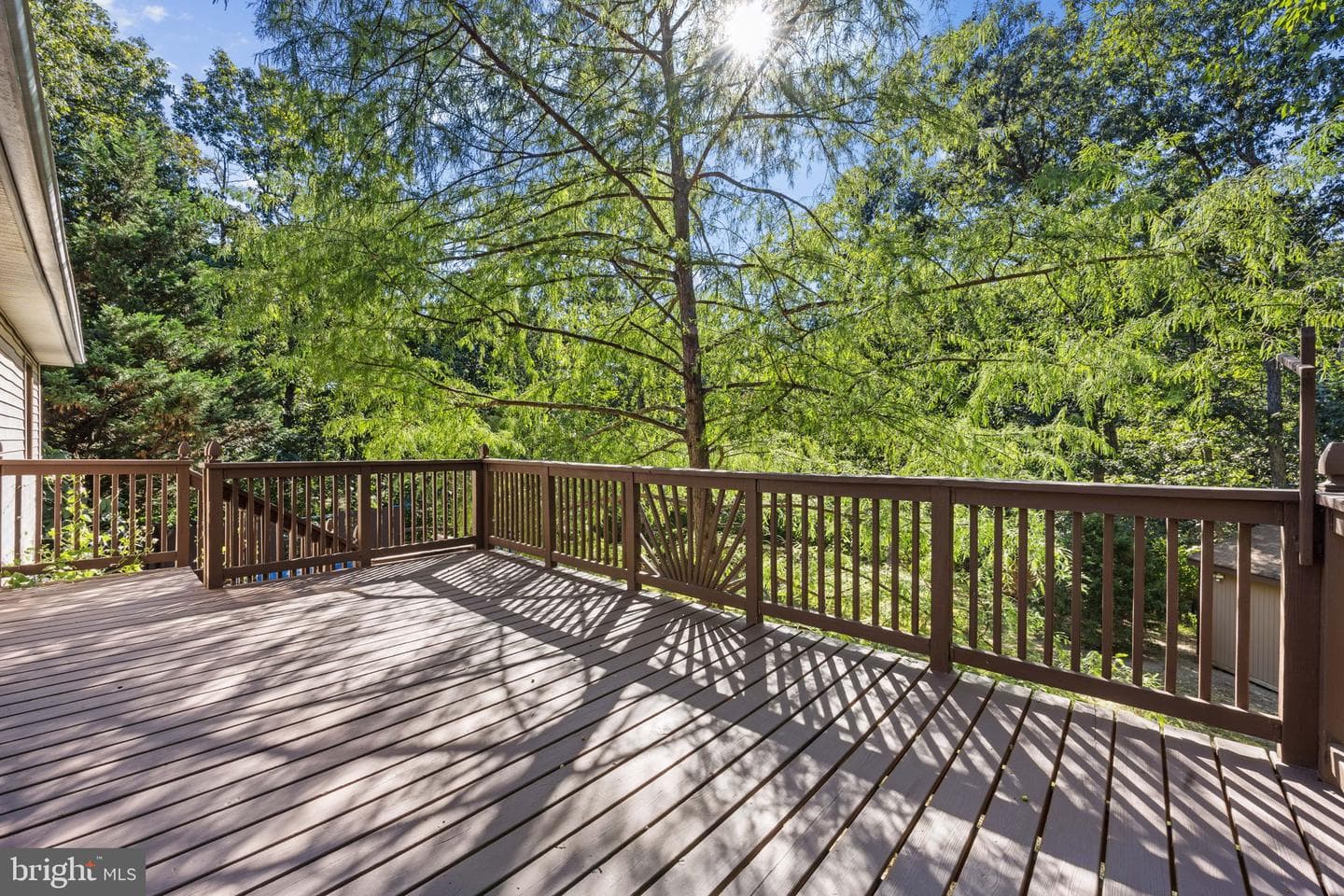 145 Basswood Drive photo 27