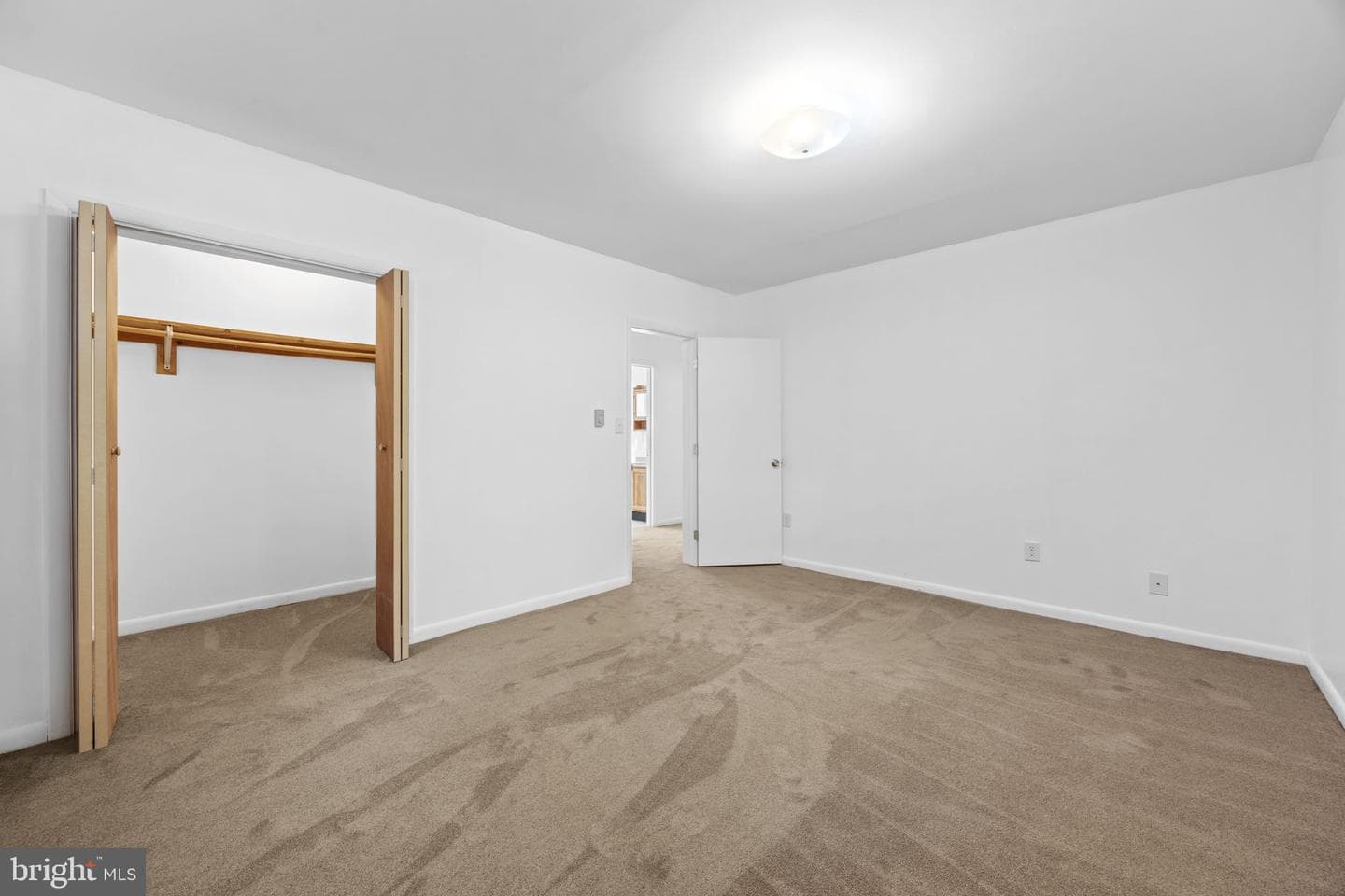 145 Basswood Drive photo 34