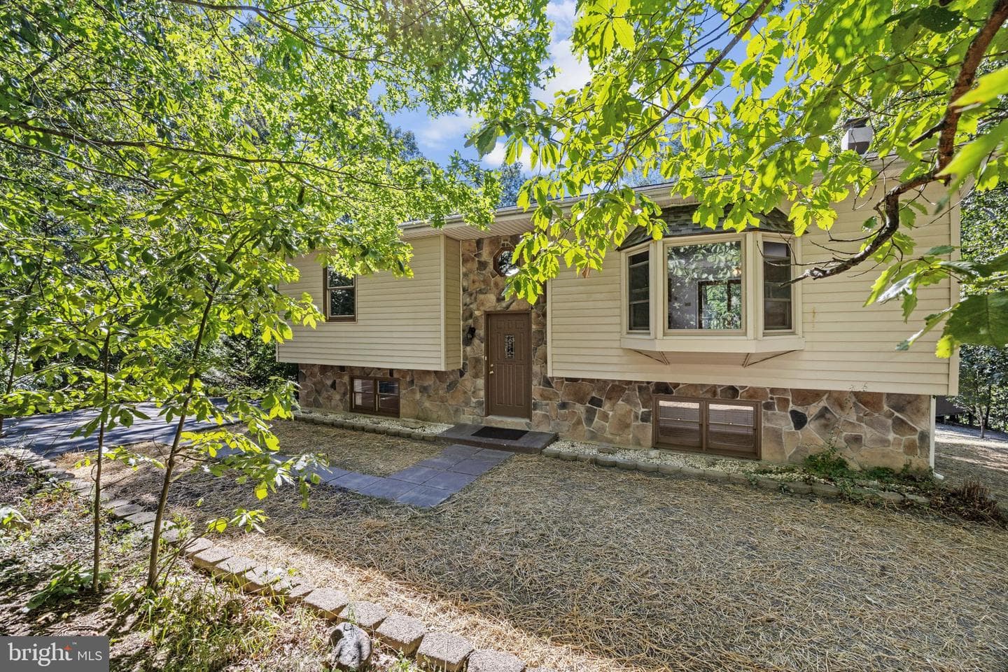 145 Basswood Drive photo 5